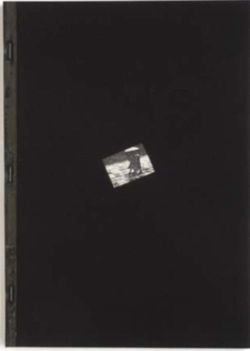 Robakowsky_Kino